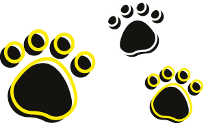 dog-exercise-areas dog-exercise-areas