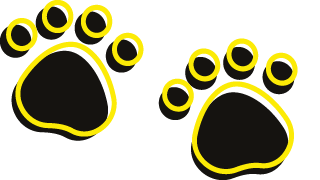 dogs-re-homed dogs-re-homed