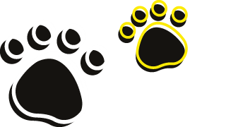 dogs dogs