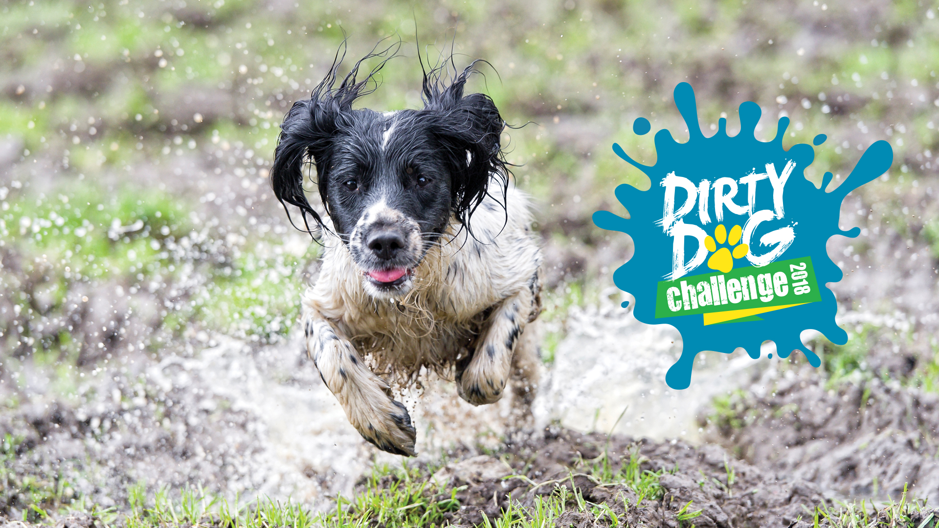Dirty Dog Challenge 2018