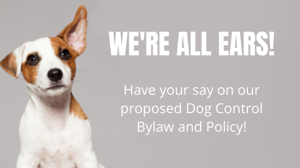 Dog Control Higher Res