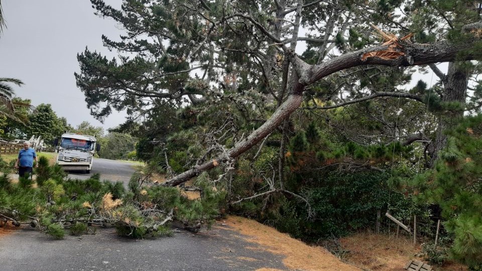 Roads are now open following the storm