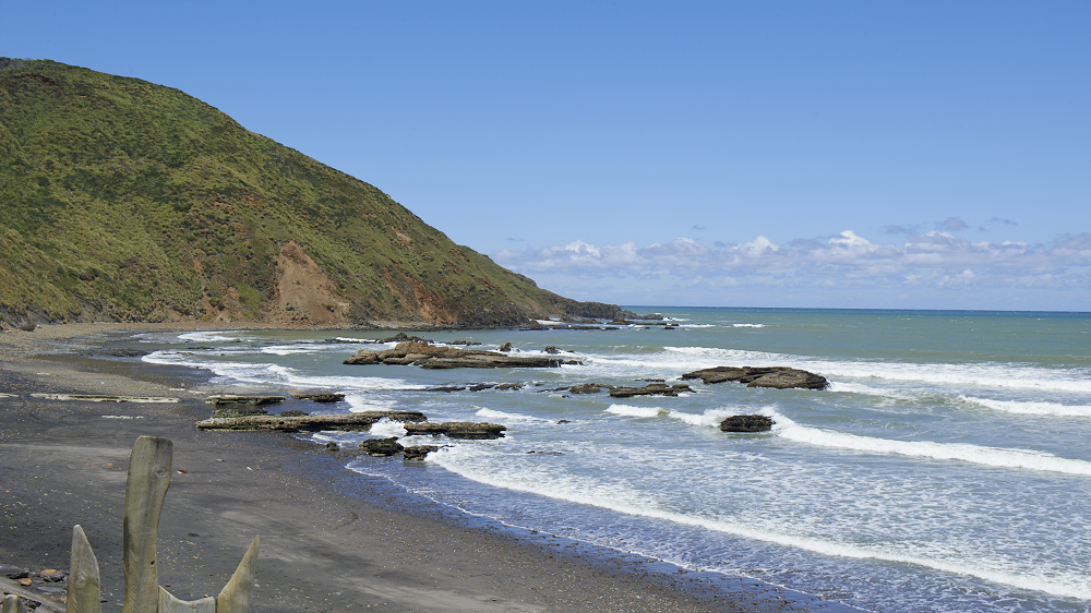 Port Waikato