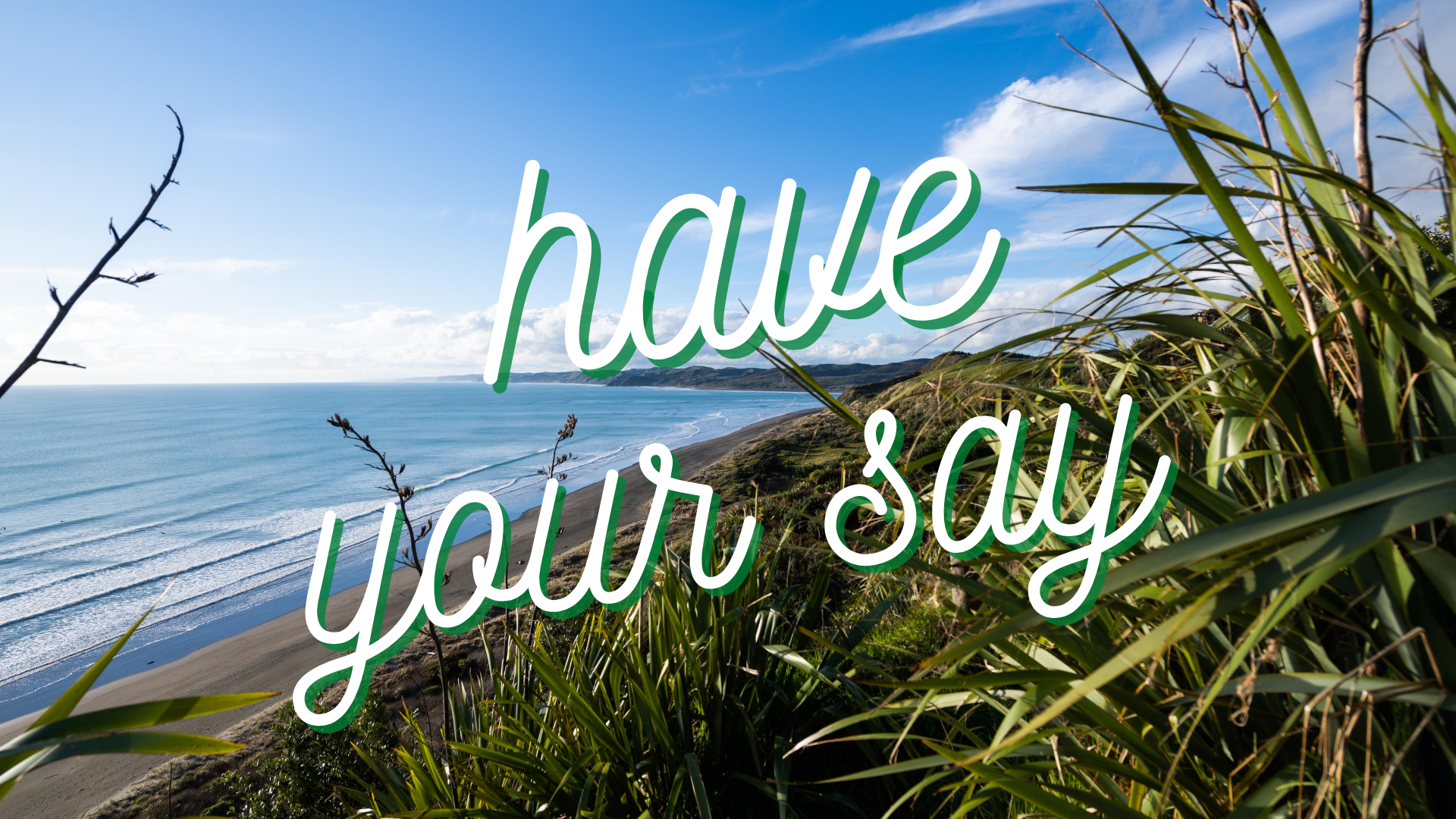 Significance and Engagement policy say it