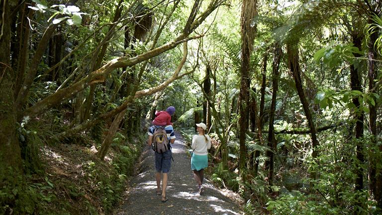 Bridal Veil Falls scenic walk is located near Raglan in the Waikato