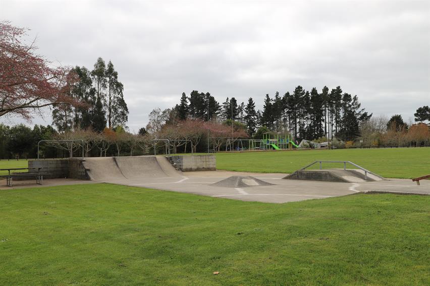 Te Kowhai Skatepark