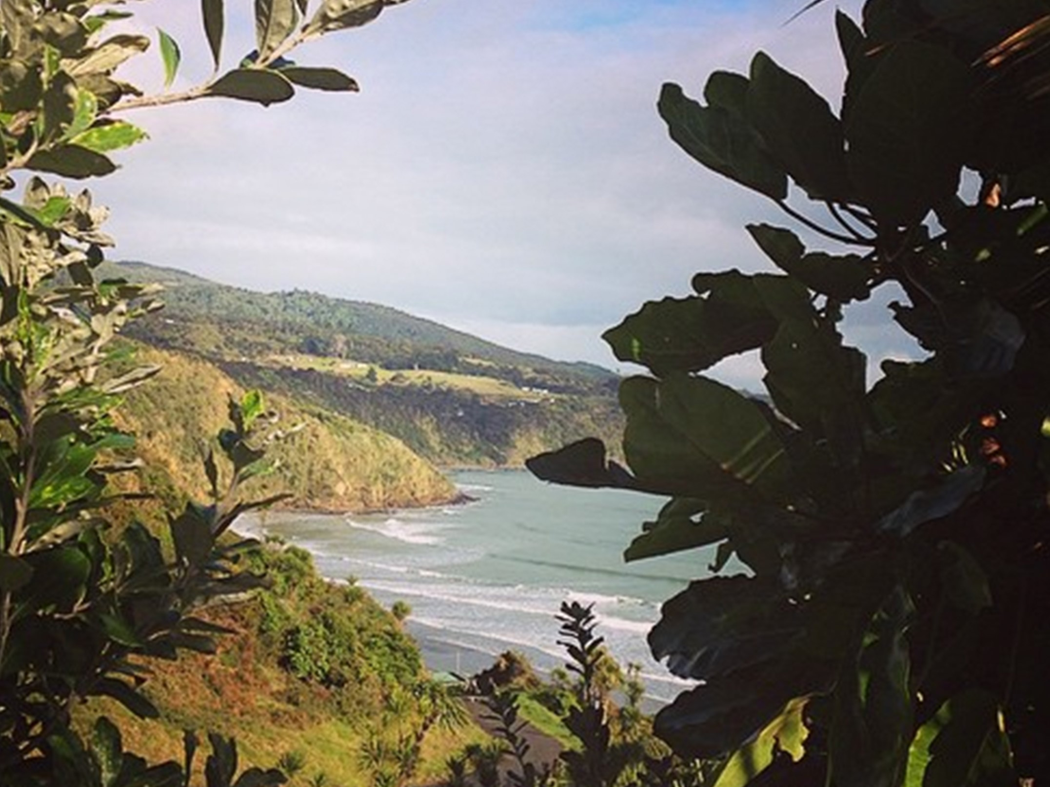 Bryant Memorial Scenic Reserve - Ngarunui Track