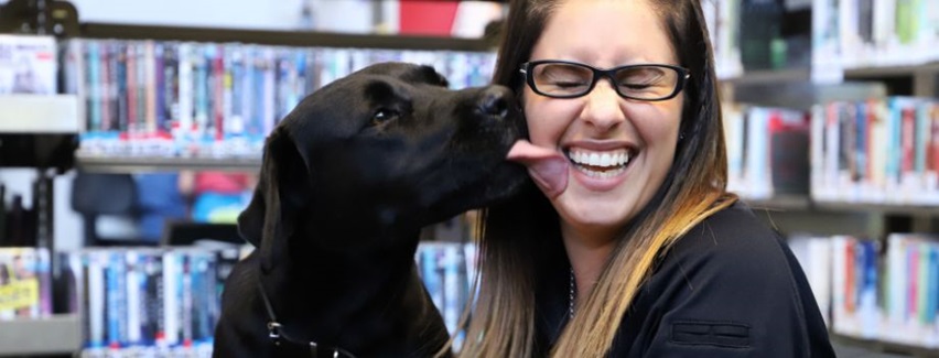 Dogs in Libraries