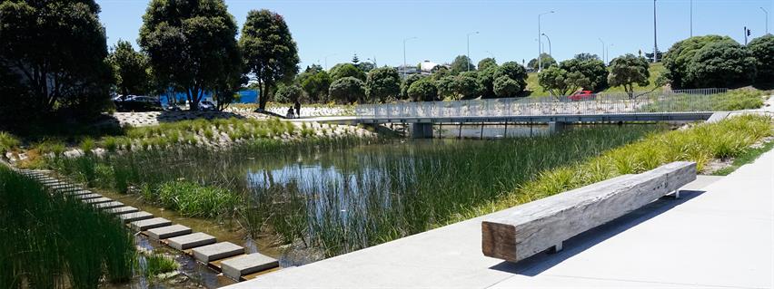 Example of a stormwater wetland. Supplied/ Boffa Miskell