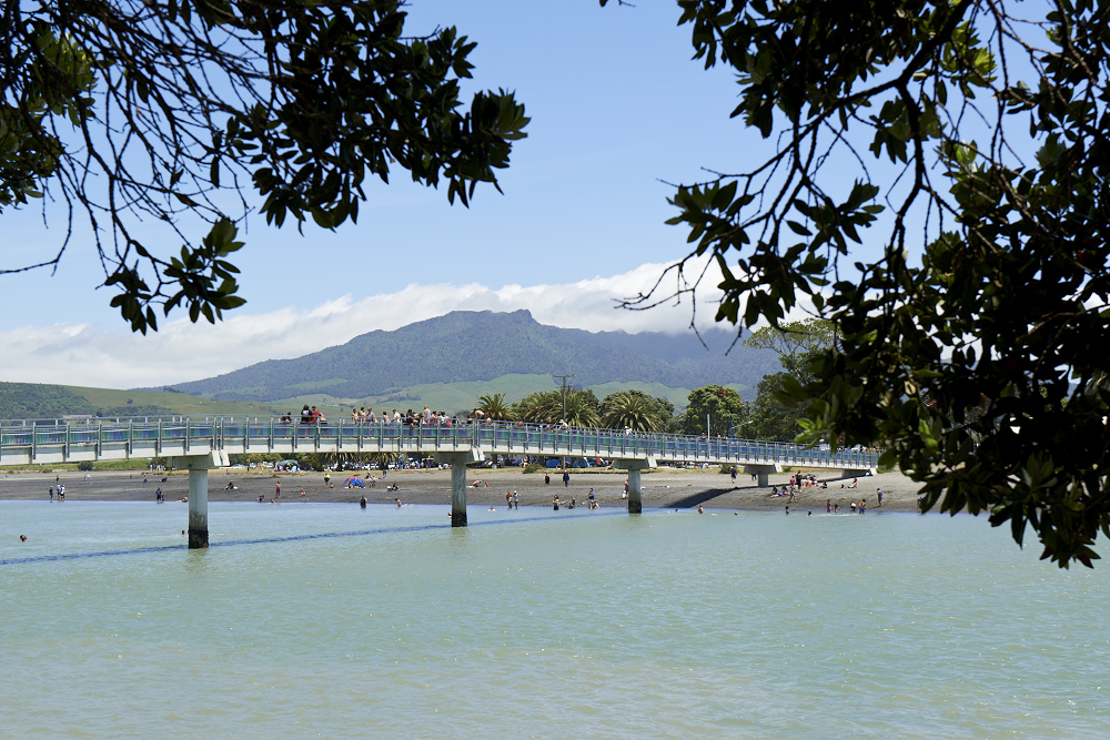 View of the walk bridge in Raglan