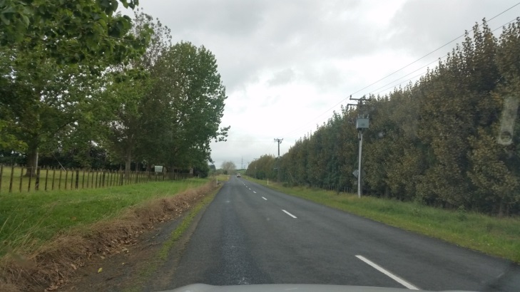 Ridge Road